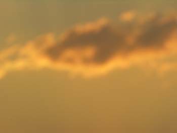 Priest Lake Area Photographs (478)