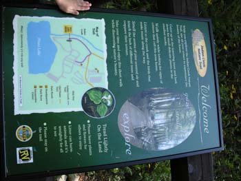 Priest Lake Area Photographs (500)
