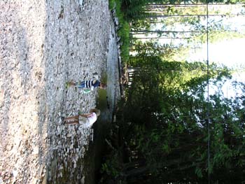 Priest Lake Area Photographs (503)