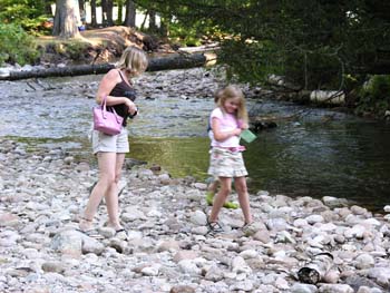 Priest Lake Area Photographs (505)