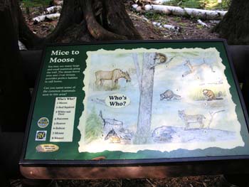 Priest Lake Area Photographs (517)