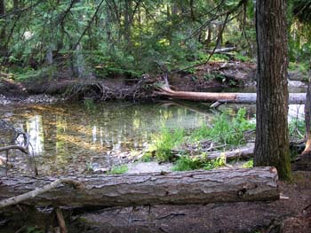 Priest Lake Area Photographs (518)