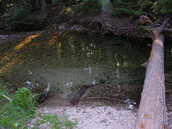 Priest Lake Area Photographs (524)