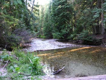 Priest Lake Area Photographs (525)