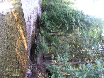 Priest Lake Area Photographs (527)