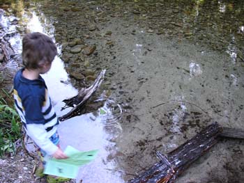 Priest Lake Area Photographs (545)