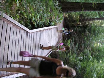 Priest Lake Area Photographs (547)