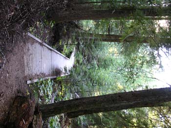 Priest Lake Area Photographs (549)