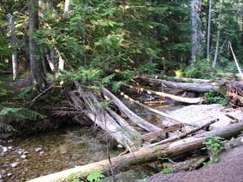Priest Lake Area Photographs (553)