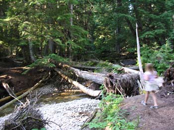 Priest Lake Area Photographs (555)