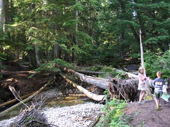 Priest Lake Area Photographs (556)