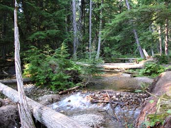 Priest Lake Area Photographs (557)