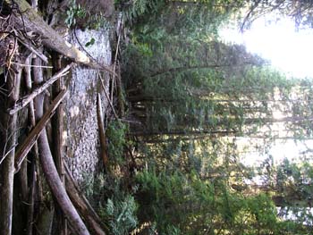 Priest Lake Area Photographs (558)