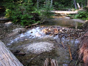 Priest Lake Area Photographs (561)
