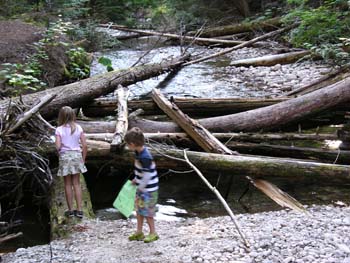 Priest Lake Area Photographs (565)