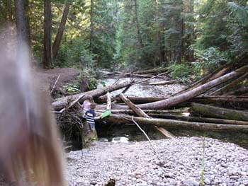 Priest Lake Area Photographs (566)