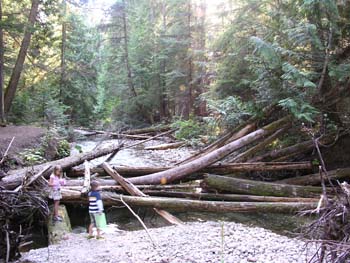 Priest Lake Area Photographs (567)