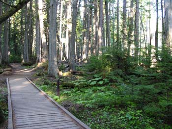 Priest Lake Area Photographs (570)