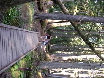 Priest Lake Area Photographs (571)