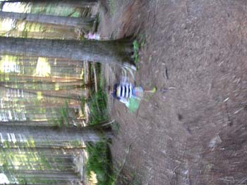 Priest Lake Area Photographs (572)