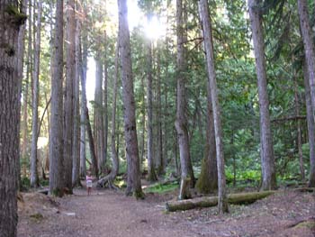 Priest Lake Area Photographs (573)