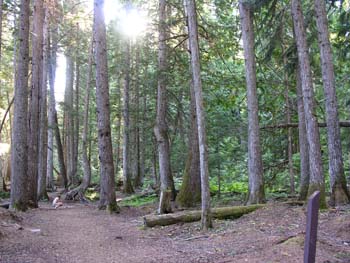 Priest Lake Area Photographs (574)