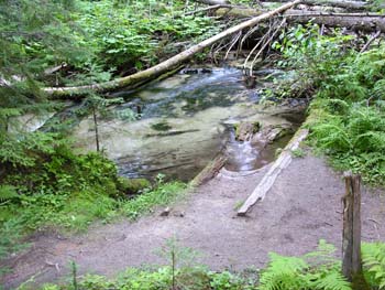 Priest Lake Area Photographs (576)