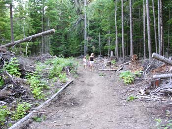 Priest Lake Area Photographs (588)