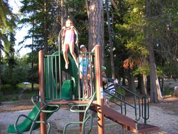 Priest Lake Area Photographs (590)