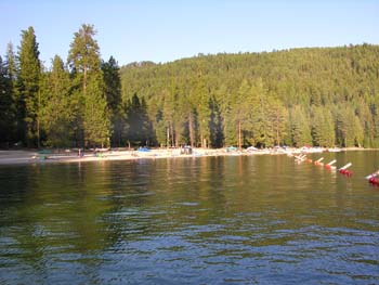 Priest Lake Area Photographs (600)