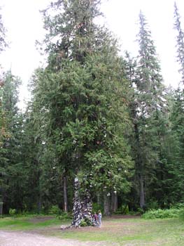Priest Lake Area Photographs (602)