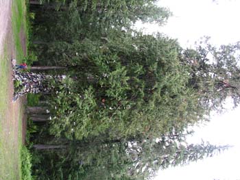 Priest Lake Area Photographs (604)