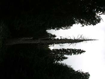 Priest Lake Area Photographs (611)