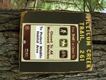 Priest Lake Area Photographs (624)