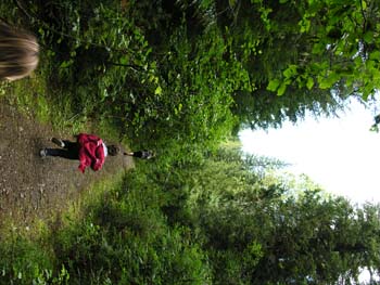 Priest Lake Area Photographs (628)