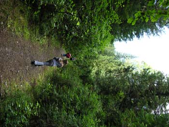 Priest Lake Area Photographs (629)