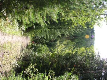 Priest Lake Area Photographs (632)