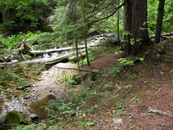 Priest Lake Area Photographs (637)