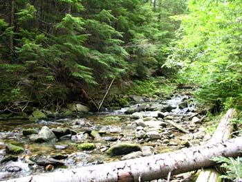 Priest Lake Area Photographs (638)