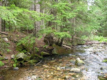 Priest Lake Area Photographs (645)