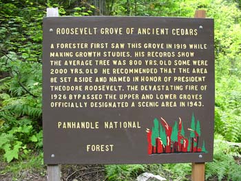 Priest Lake Area Photographs (646)