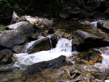 Priest Lake Area Photographs (654)