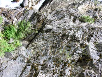 Priest Lake Area Photographs (667)