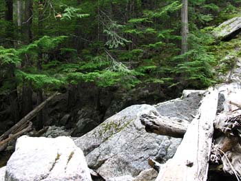 Priest Lake Area Photographs (671)