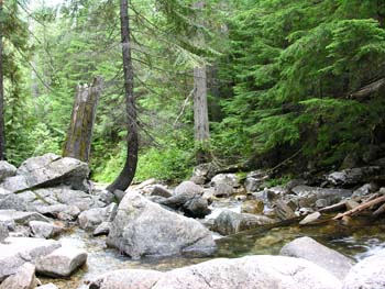 Priest Lake Area Photographs (673)