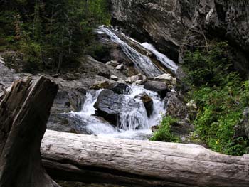 Priest Lake Area Photographs (678)