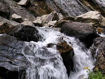 Priest Lake Area Photographs (679)