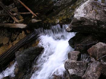 Priest Lake Area Photographs (683)