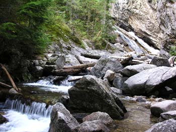 Priest Lake Area Photographs (686)