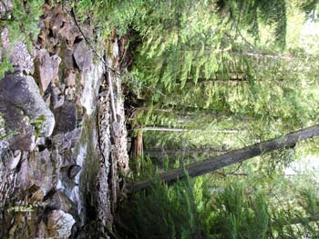 Priest Lake Area Photographs (689)